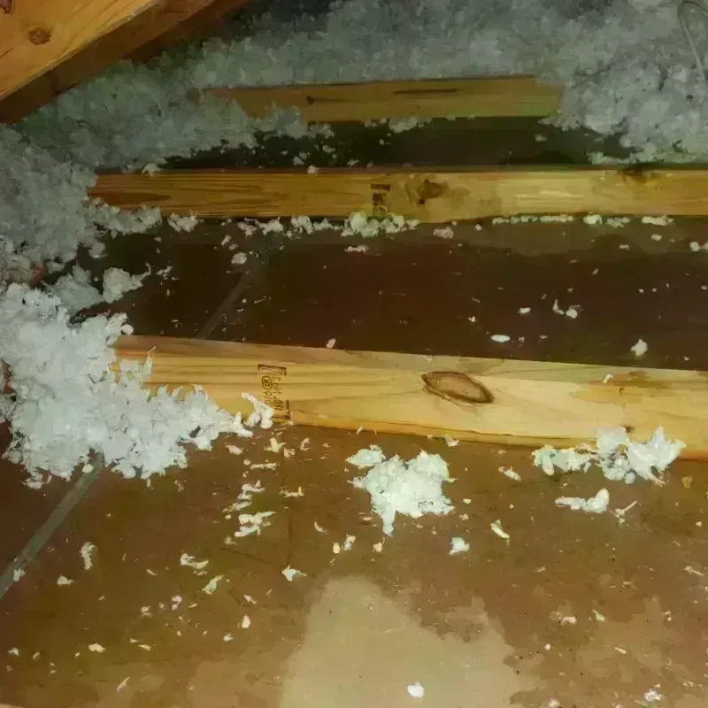 Attic Water Damage in Anton, TX