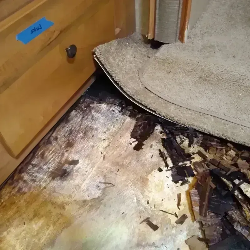 Best Wood Floor Water Damage Service in Anton, TX